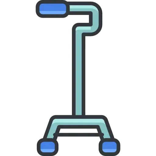 Quadwalker Motorized Walking Stick